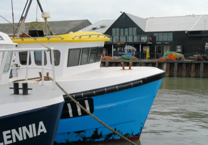 Boats in Harbour